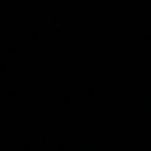 Meet your Posher, Analicia